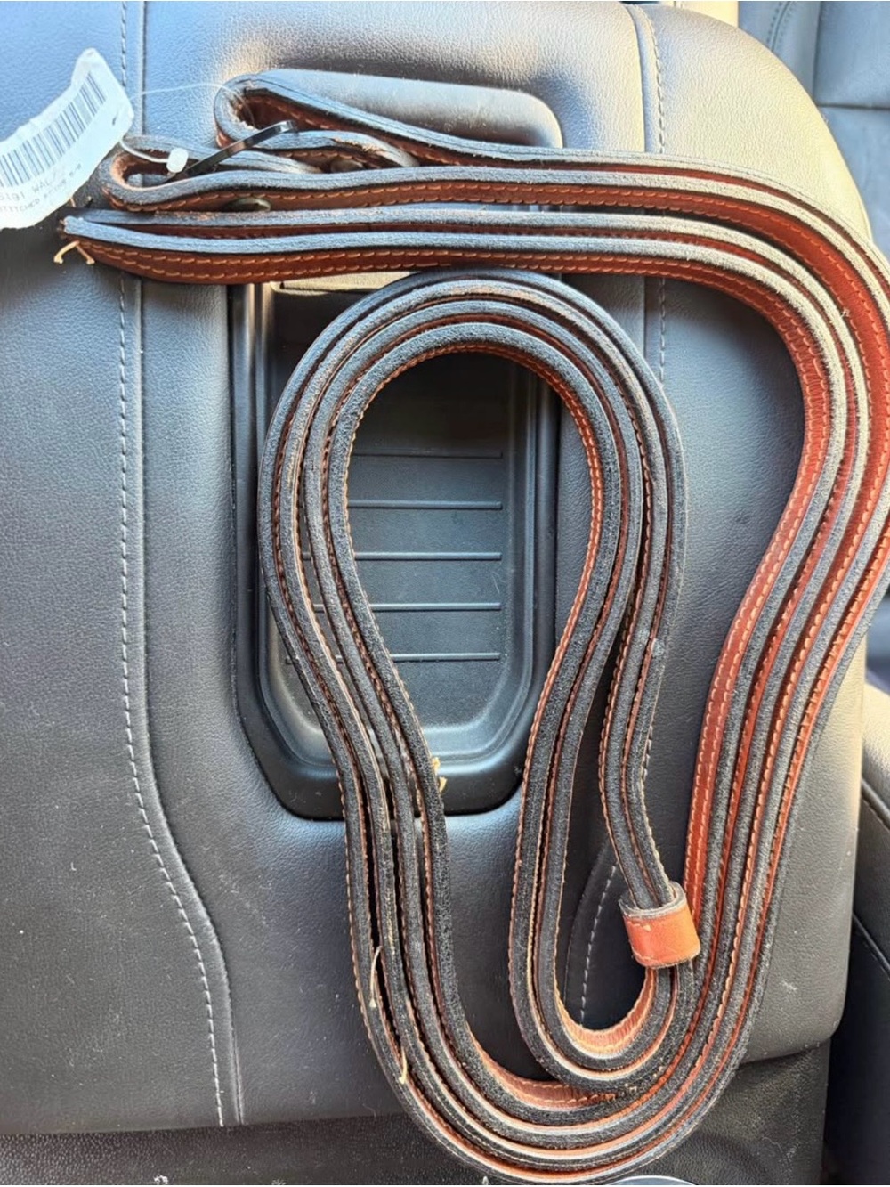 Split reins